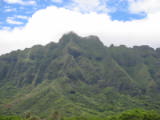 d4misc_0018.jpg