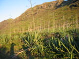 d4misc_0025.jpg