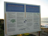 d4misc_0027.jpg