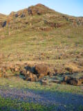 d4misc_0028.jpg