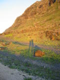 d4misc_0029.jpg