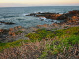 d4misc_0030.jpg