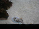 d5misc_0004.jpg