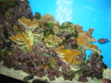 d5misc_0005.jpg
