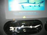 d5misc_0006.jpg
