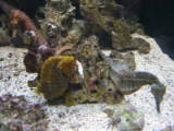 d5misc_0007.jpg