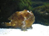 d5misc_0009.jpg