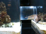 d5misc_0010.jpg