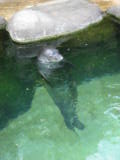 d5misc_0013.jpg