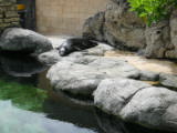 d5misc_0014.jpg