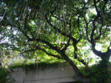 d5misc_0020.jpg