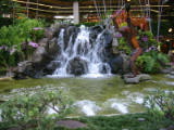 d5misc_0024.jpg