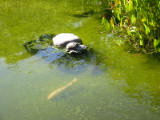 20020824-162659.jpg