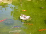 20020824-162748.jpg