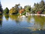 20021020-154752.jpg