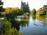 20021020-154800.jpg
