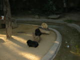 20021020-162717.jpg