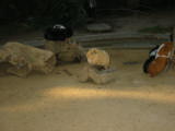 20021020-163723.jpg
