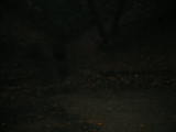 weddingsite-0005.jpg