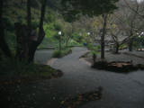 weddingsite-0006.jpg