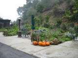weddingsite-0014.jpg