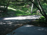 weddingsite-0019.jpg