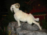 20030223-192526.jpg