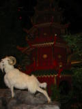 20030223-192539.jpg