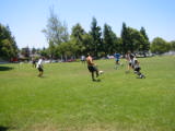 20030626-125042.jpg