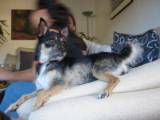 20030712-192140.jpg