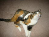 20030712-200923.jpg