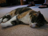 20030712-200944.jpg