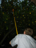 20030712-202737.jpg