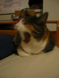20030712-213400.jpg