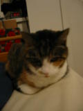 20030712-213412.jpg