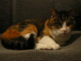 20030712-213734.jpg