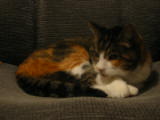20030712-213746.jpg