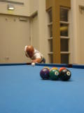 20030805-143702.jpg