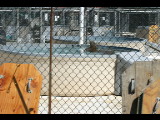 20030921-133324.jpg