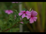 20030926-173850.jpg