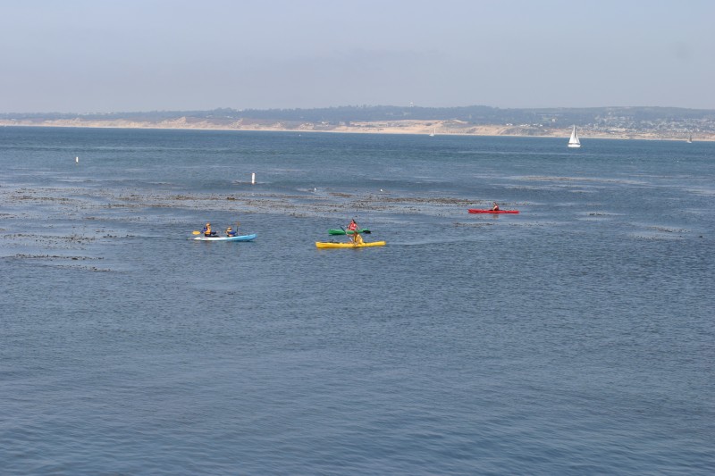 20030914-144254.jpg