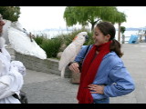 20031129-172119.jpg