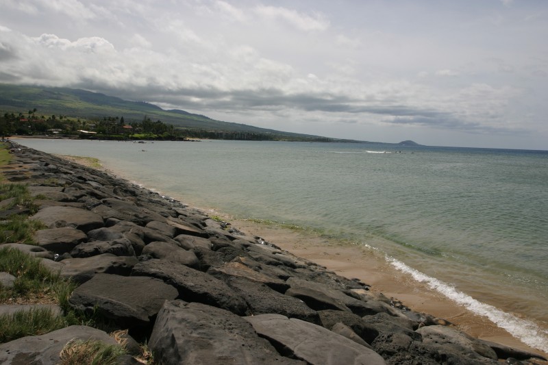 20040317-113955.jpg