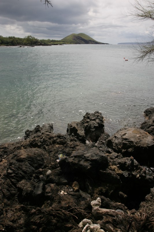 20040317-125107.jpg