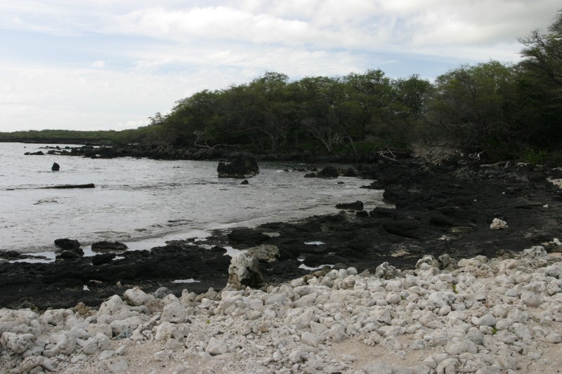 20040317-155918.jpg