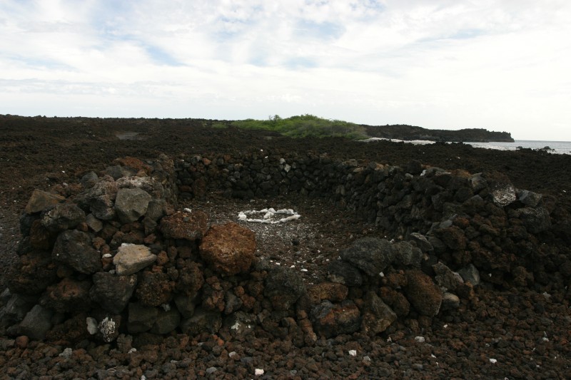 20040317-162321.jpg