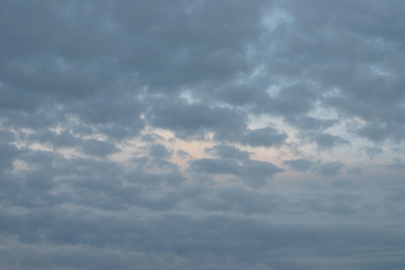 20040317-182954.jpg