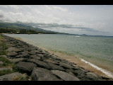 20040317-113955.jpg