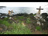 20040317-155107.jpg