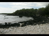 20040317-155918.jpg